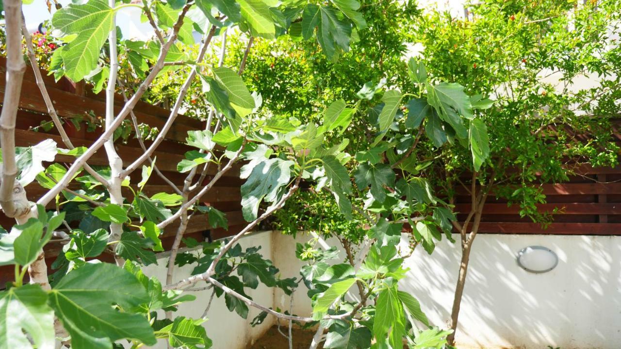 Villa Nova Protaras Esterno foto